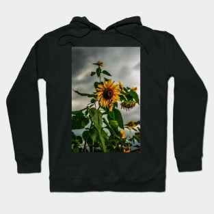 Sunflowers and storms ( We stand with Ukraine) Hoodie